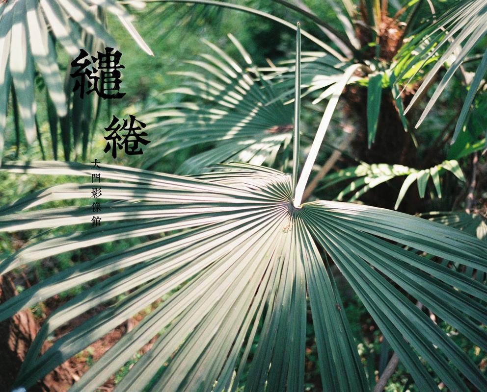 009.jpg