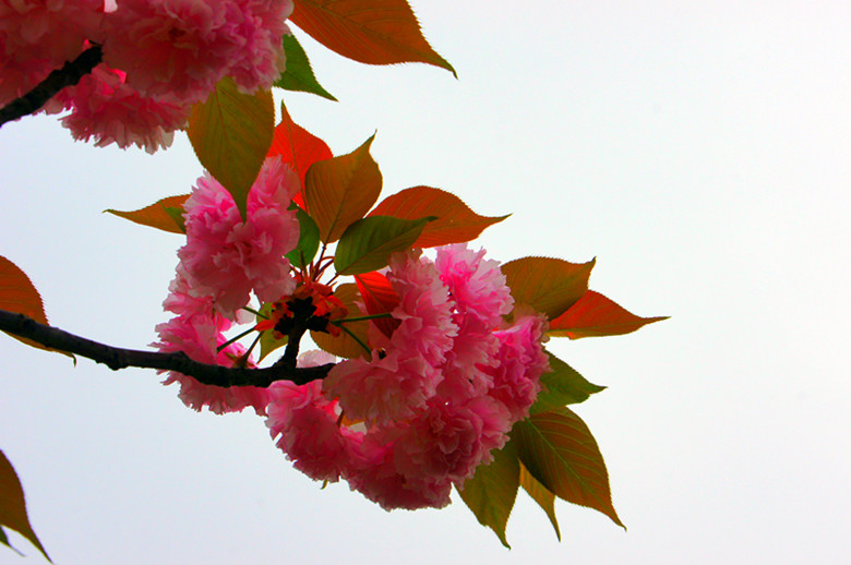 DSC02773_ - .jpg