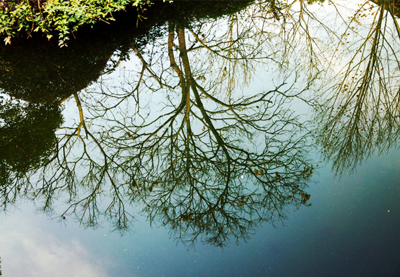 DSC06674_.jpg