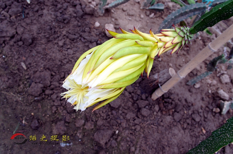 DSC05511_.jpg
