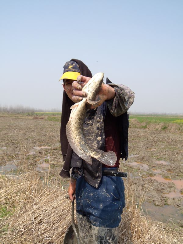 DSCN2957.JPG