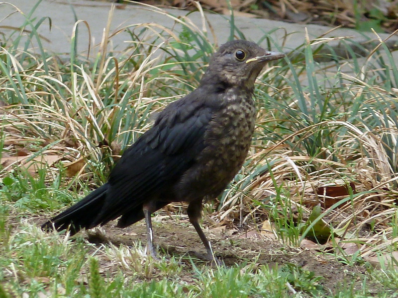 2011.05.25.jpg
