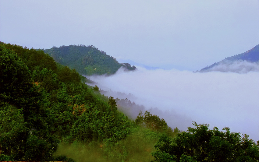 DSCF3444ac.jpg